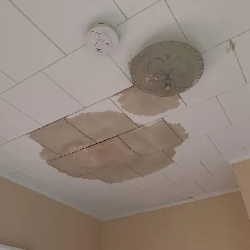 Ceiling Water Damage Repair in Ellisburg, NJ